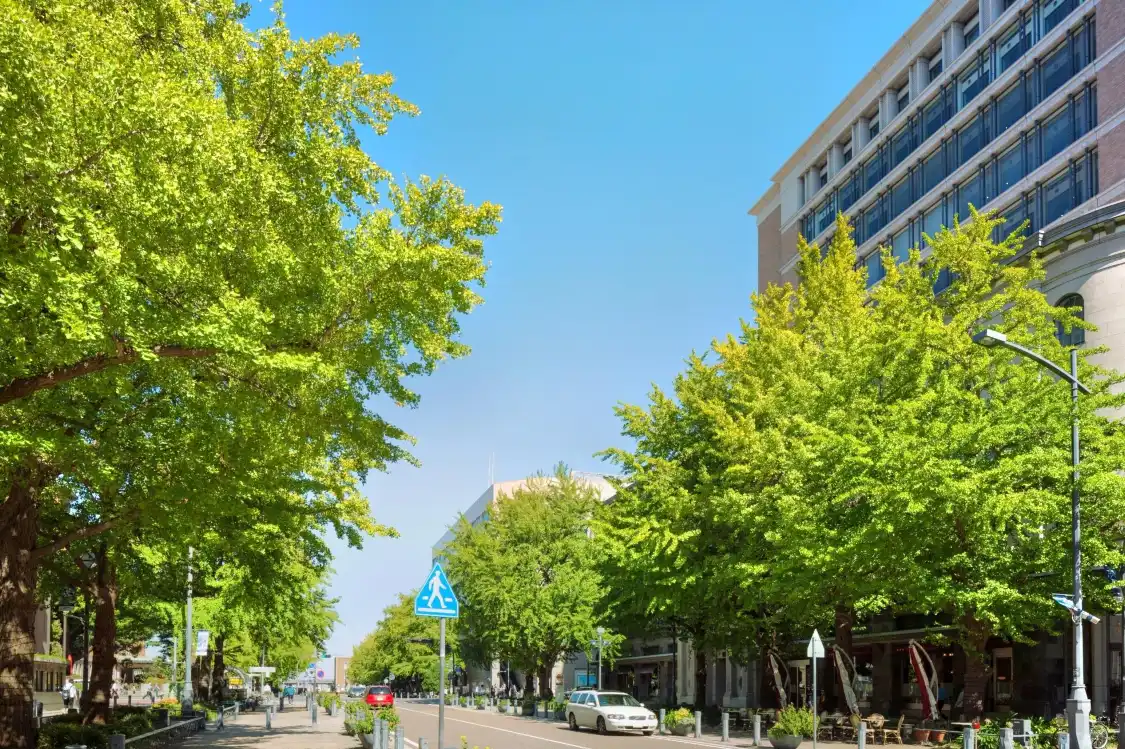 Hotels near Nihon Odori