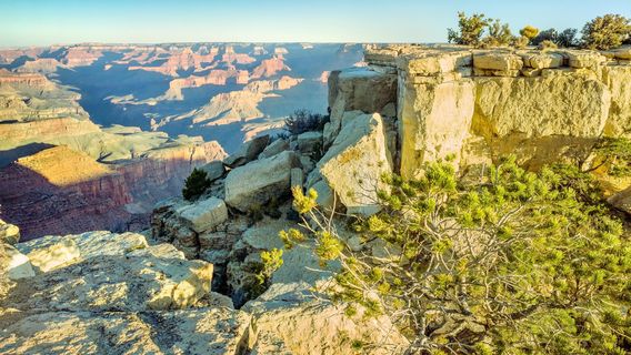 Coconino County