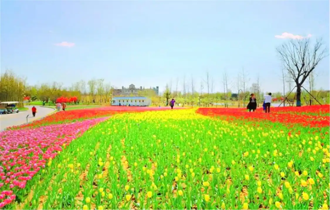 Hotels near Mount Tai Flower Sea