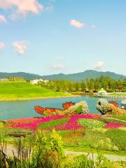 Suncheon Bay Nature Reserve