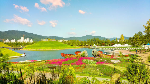 Suncheon Bay Nature Reserve
