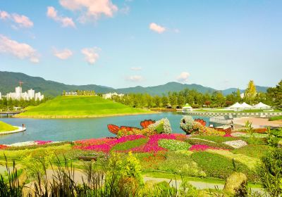 Suncheon Bay Ecological Park