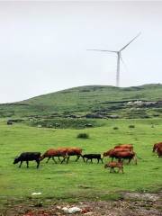 Shanhua Milk Ranch