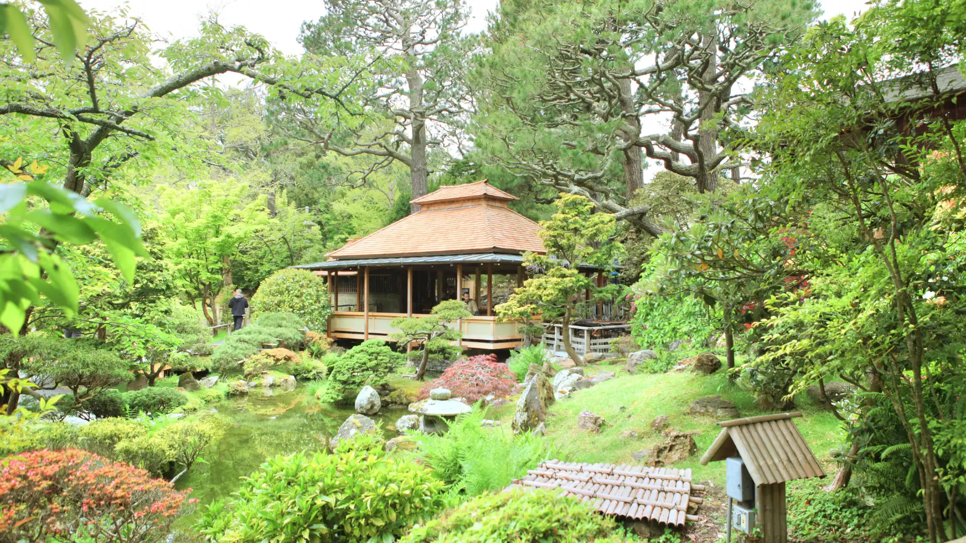 Hotels near Earl Burns Miller Japanese Garden