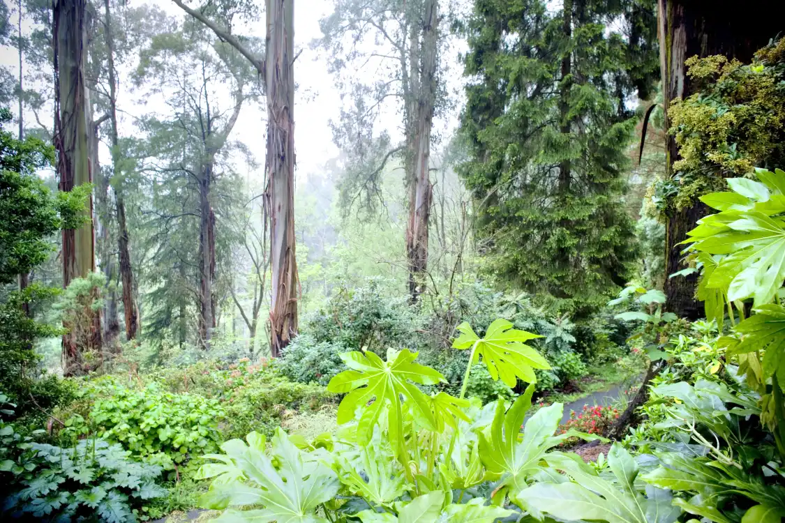Sherbrooke Forest 주변 호텔