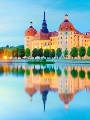 Moritzburg Castle