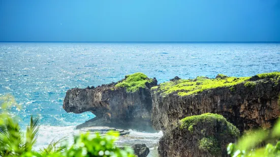 鱷魚頭海灘