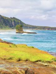 Parque Nacional de Paparoa