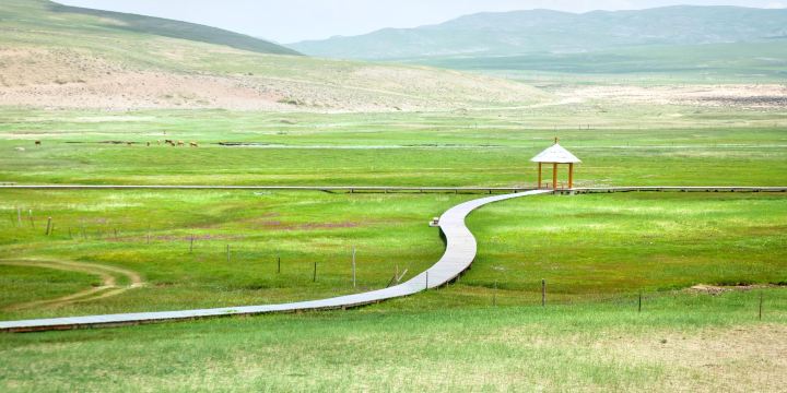 Barkol Grassland