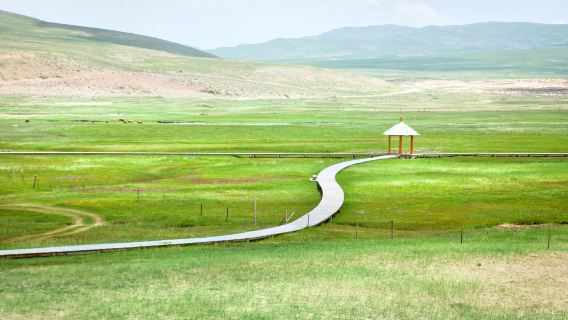 Barkol Grassland