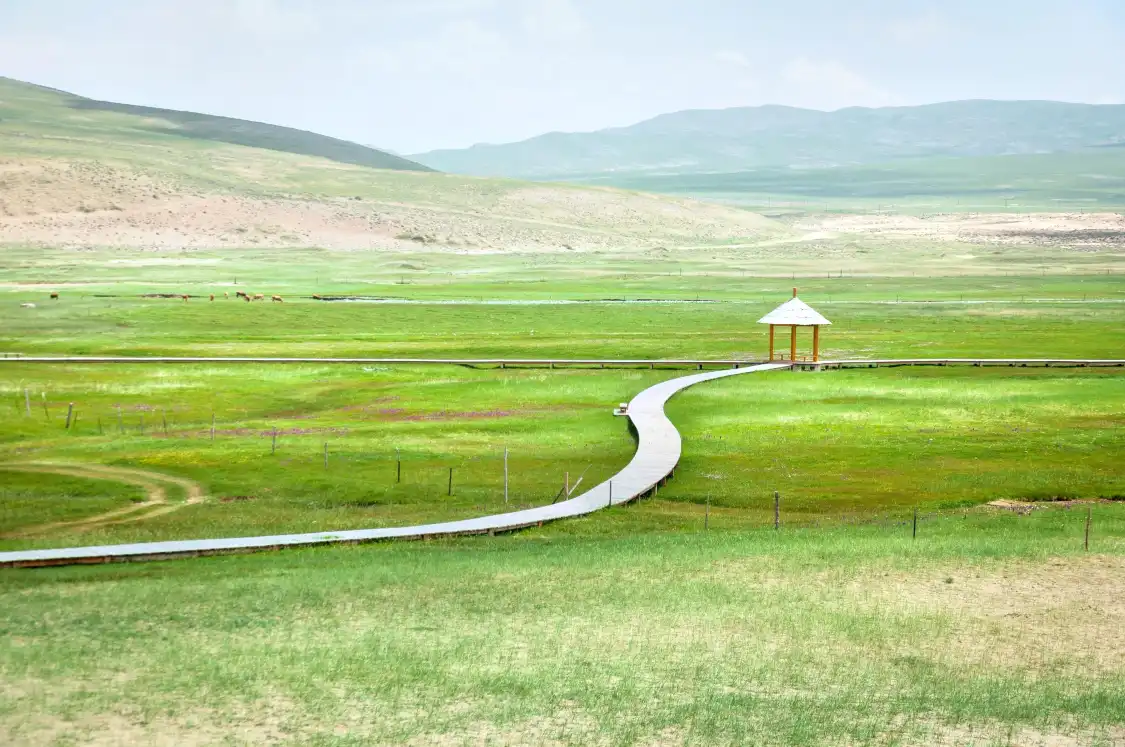 Hotels near Barkol Grassland