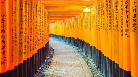 Fushimi Inari Taisha Senbon Torii (Thousands Torii Gate)