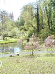 Jardín Botánico de la Universidad de Gotinga