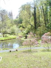 Old Botanical Garden of Göttingen University