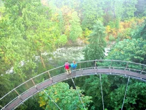 Cliffwalk