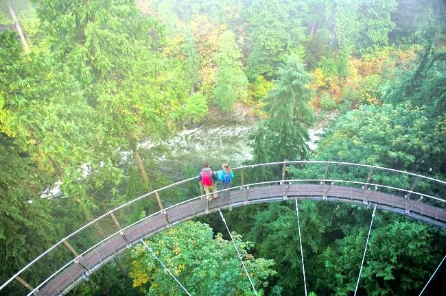 3_Cliffwalk