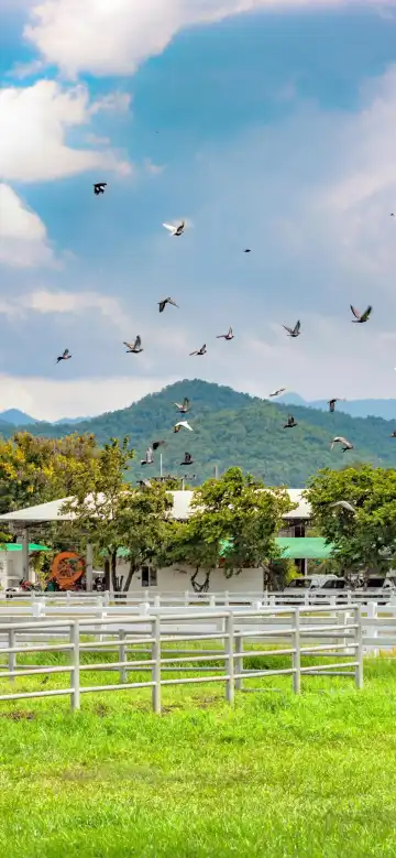 Hotels near Royal Thai Air Force Stadium (Thupatemi Stadium)