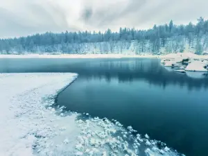 Не замерзшие реки