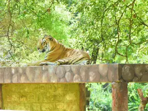 Sri Chamarajendra Zoological Gardens