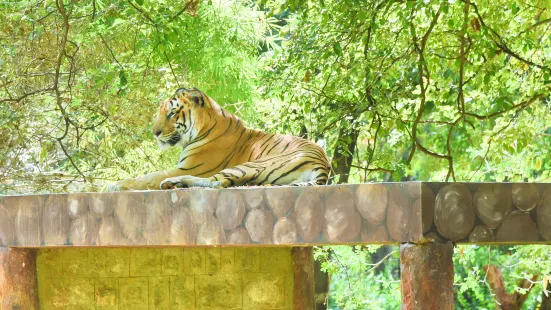 邁索爾動物園