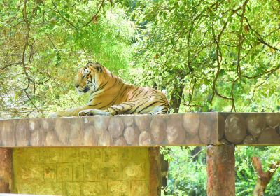 Sri Chamarajendra Zoological Gardens