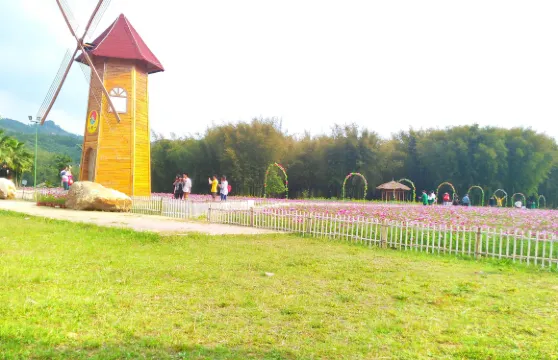 梧州石錶山景區門票＋道家沙灘公園門票成人