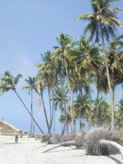 Chaung Thar Beach