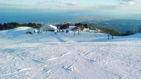 Il tour di un giorno sugli sci nella prefettura di Shiga, in Giappone, include biglietto d'ingresso d'ingresso + biglietto funivia+ snowboard + abbigliamento da sci