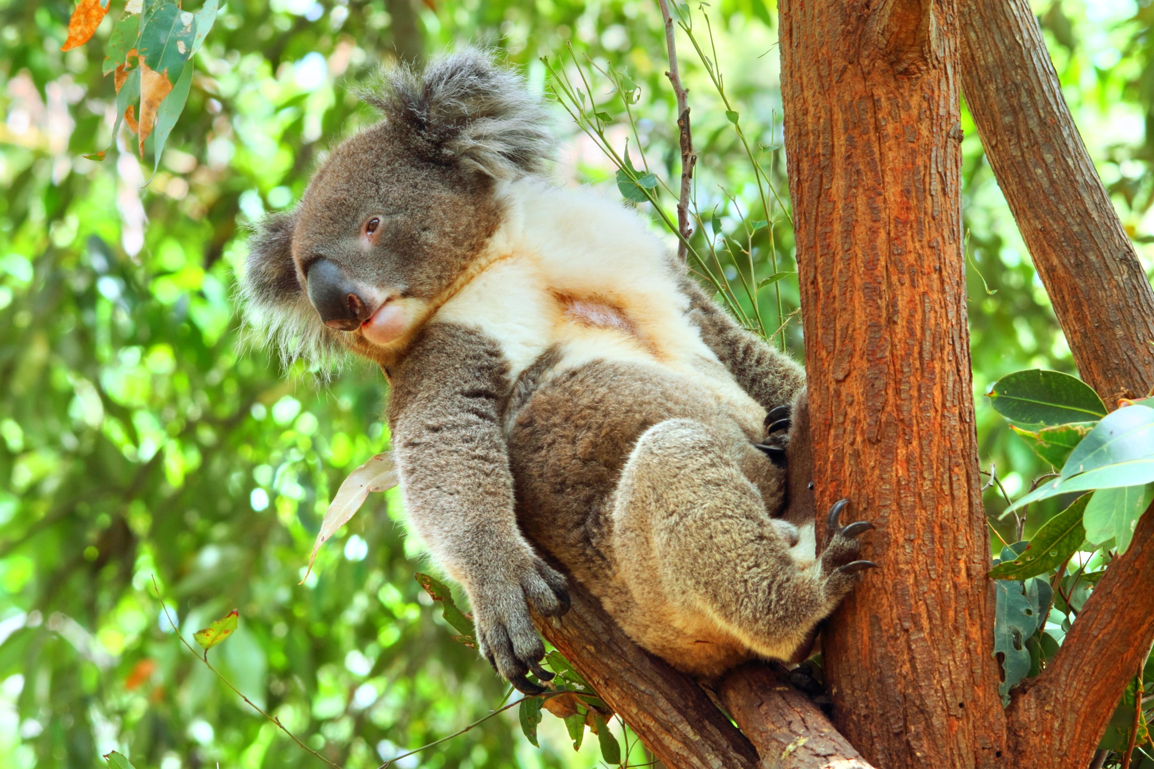 Alma Park Zoo: Photos, Map & Reviews [2024] | Trip.com