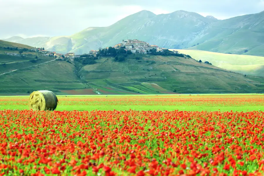 Llanura de Castelluccio