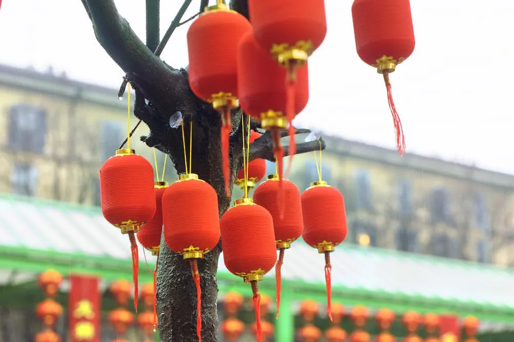 5_ไชน่าทาวน์