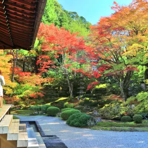 泉涌寺