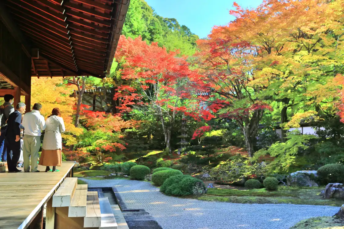 Hotel in zona Sennyu-ji