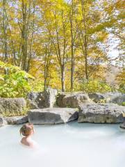 Wareerak Hot Spring & Wellness