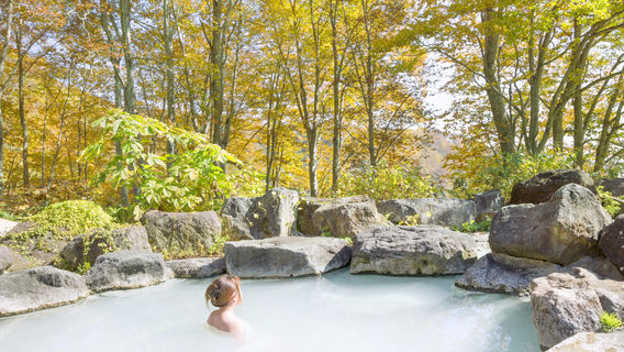 Wareerak Hot Spring & Wellness