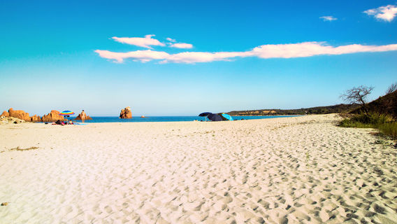 Bari