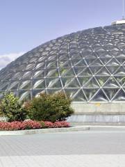 Bloedel Conservatory