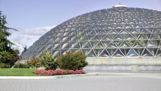 Bloedel Conservatory