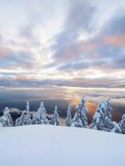 parc provincial Mount Seymour