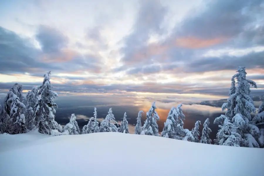 Mount Seymour Provincial Park