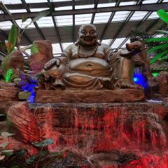 ECOLOGICAL GARDEN ảnh của người dùng