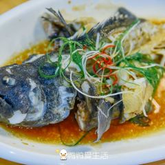 JINJIAGANG User Photo