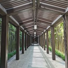 曲阜鲁能JW万豪酒店·JW Kitchen自助餐厅 User Photo