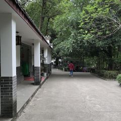 陈庄乡土鸡·柴火鸡·川菜 User Photo