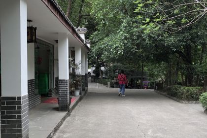 陈庄乡土鸡·柴火鸡·川菜