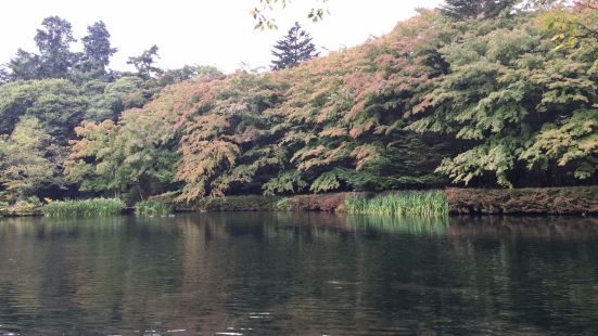 日本长野县的云场池是一座非常平静而美丽的池塘，这里的池水非常
