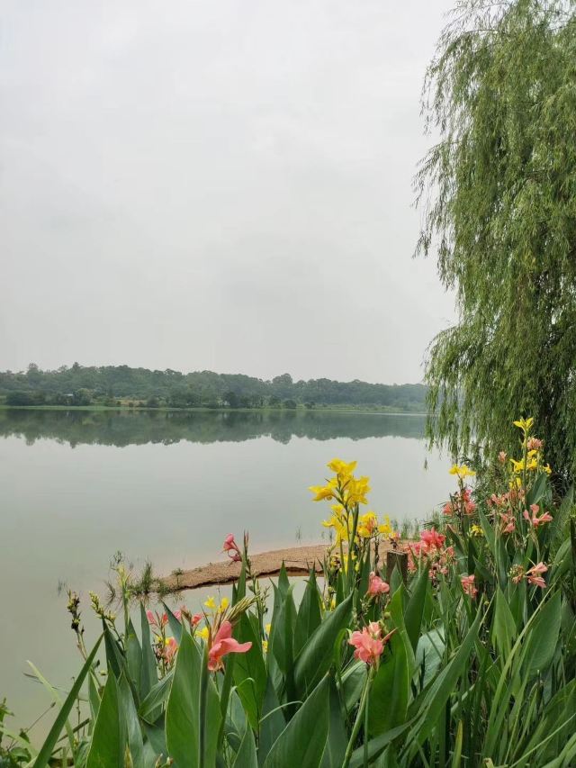 Peninsula of Royal Lake Hotels