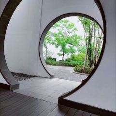 Hangzhou | AHN LUH QIANDAO LAKE· Lakeside All-day Dining User Photo