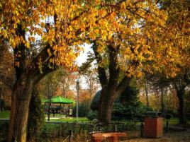 Laleh Park