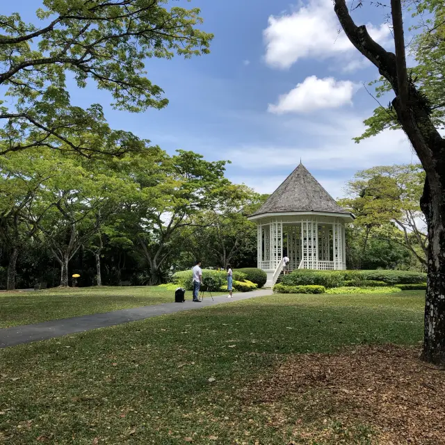 新加坡避暑好去處 | 新加坡植物園